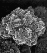 Abb. 6.  Zeolith-X, kubische Kristallisate; 4-m NaOH, 70 d, 60C, Flugasche GKM,  13 000 fache Vergrerung