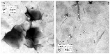 Abb. 1. Morphologische Typisierung des Montmorillonits in MX80 mittels TEM